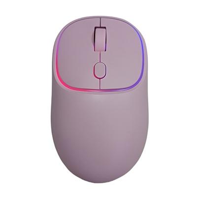V101 Dual Mode Wireless Mouse (2.4 GHz and Bluetooth) 
